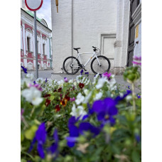 BEARBIKE EKB (700C 1 ск. рост. 540 мм) белый, 1BKB1E381001