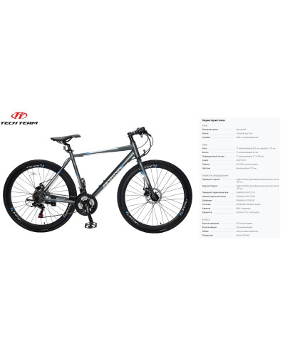 TECH TEAM LAVINA 28 disc (28" 21 ск. рост 20") ALU, серый (NN000743)