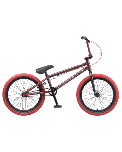 TECH TEAM GRASSHOPER (BMX 20", 1 ск.) (черный/красный, NN002566)