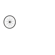 Колесо в сборе 29" задне Дисковая тормоз эксцентрик, под трещотк