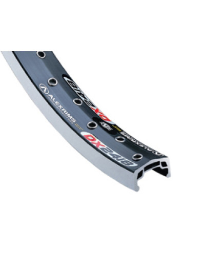 ALEX RIMS Обод DX2418, 20"х24ммх48H, A/V, двойной, чёрный (ВМХ)
