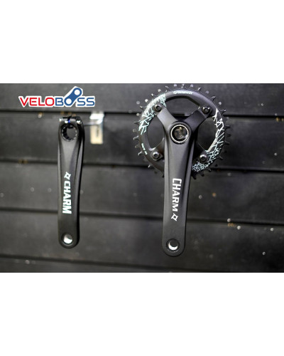 Система PROWHEEL CHARM MTB 36T под полую ось, 104 BC, AL-6061 Сьемнкая звезда (БЕЗ КАРЕТКИ)