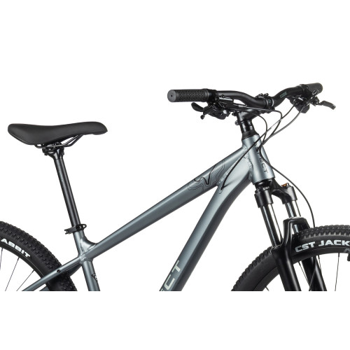 Aspect Legend 29 (2024)