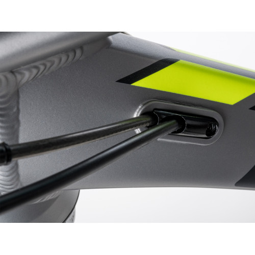 Author Instinct 29 (2023)