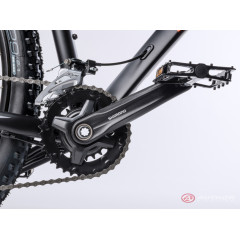 Author Spirit 29 (2023)