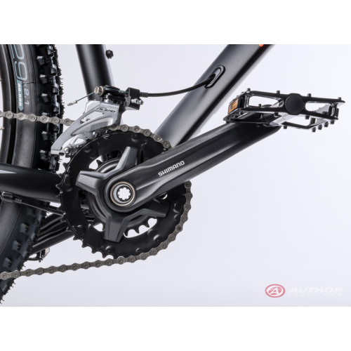 Author Spirit 29 (2023)