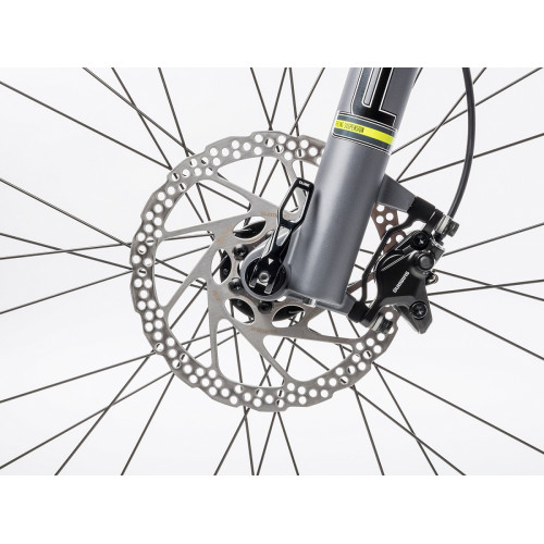 Author Instinct 29 (2023)