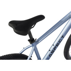 Aspect Legend 27.5 (2024)