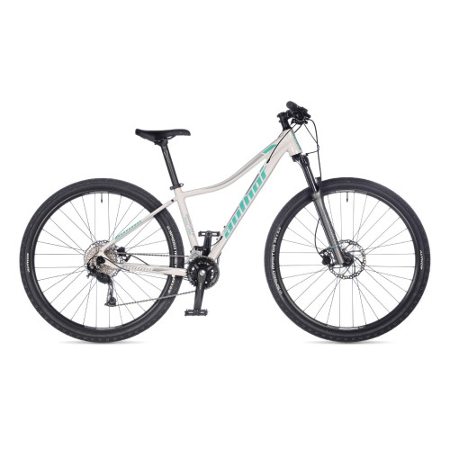 Author Spirit Asl 29 (2022)