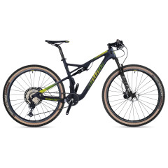 Author A-RAY 29 TEAM (2022)