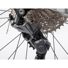 Author Instinct 29 (2023)