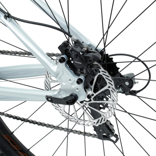 Welt Raven 1.0 HD 29 (2023)