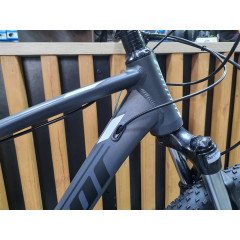 Author Mistral 29 (2024)