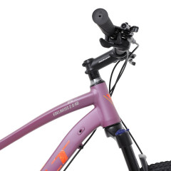 Велосипед Welt Edelweiss 2.0 HD 27 (2024)