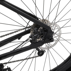 Welt Ranger 1.0 29 (2024)