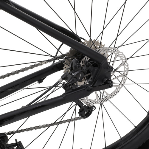 Welt Ranger 1.0 29 (2024)