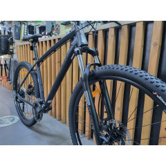 Author Mistral 29 (2024)