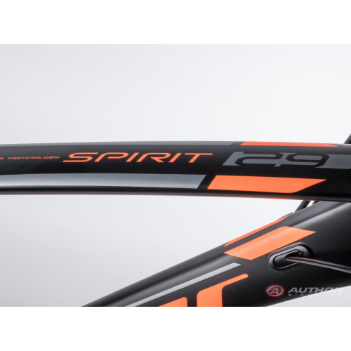 Author Spirit 29 (2023)