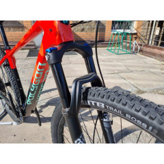 Polygon Syncline C5 29″ (2024)