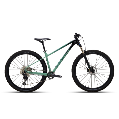 Polygon Xtrada 6 29″ (2024)