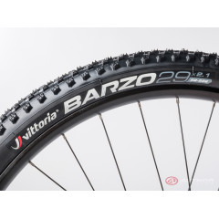 Author Spirit 29 (2023)