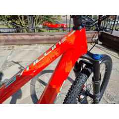 Polygon Syncline C5 29″ (2024)