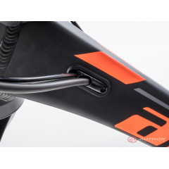 Author Spirit 29 (2023)