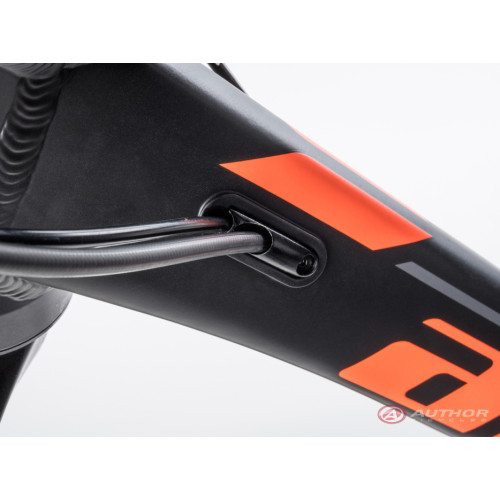 Author Spirit 29 (2023)