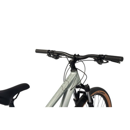 Aspect Legend 29 (2024)