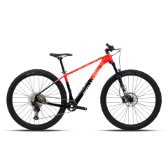 Polygon Syncline C5 29″ (2024)