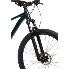 Aspect Nickel 29 (2024)