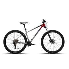 Polygon Xtrada 5 29″ (2024)