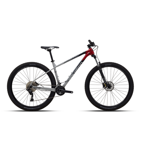 Polygon Xtrada 5 29″ (2024)