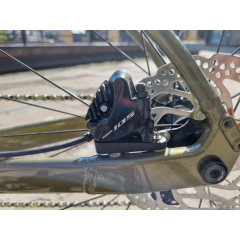 Polygon Path X5 (2024)