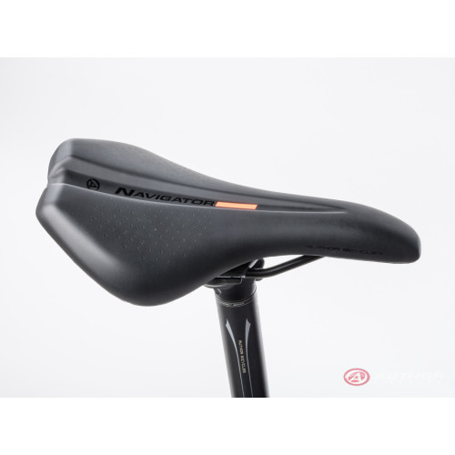 Author Spirit 29 (2023)