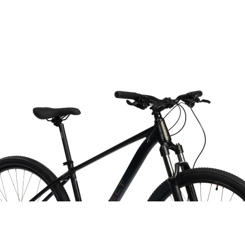 Aspect Nickel 29 (2024)