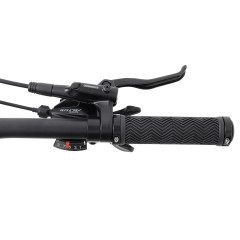 Welt Ranger 1.0 29 (2024)