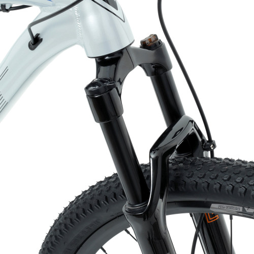 Welt Raven 1.0 HD 29 (2023)