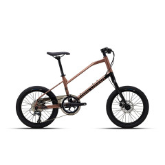 Polygon Zeta 2 (2023)