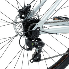 Welt Raven 1.0 HD 29 (2023)