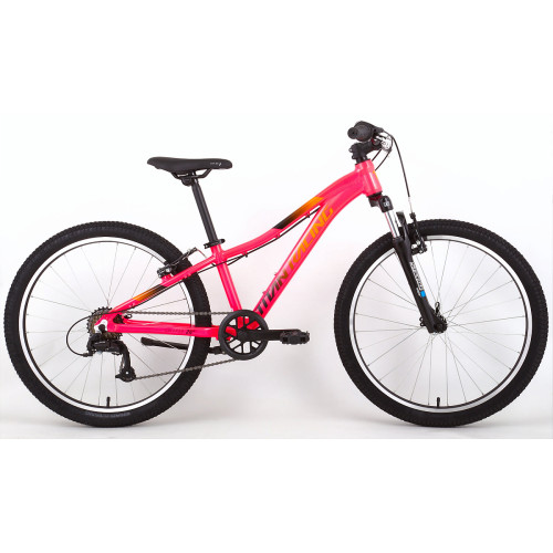 Titan Racing Calypso 24" (2024)