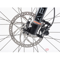 Author Spirit 29 (2023)