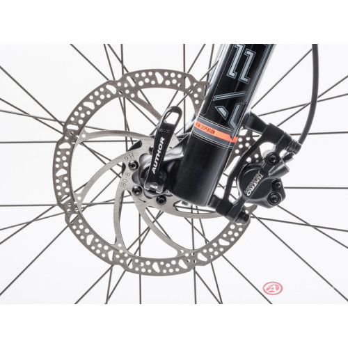 Author Spirit 29 (2023)