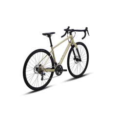 Polygon Path X4 (2024)