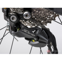 Author Spirit 29 (2023)