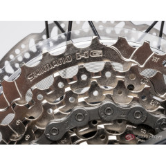 Author Spirit 29 (2023)