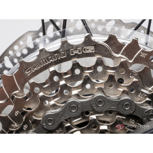 Author Spirit 29 (2023)