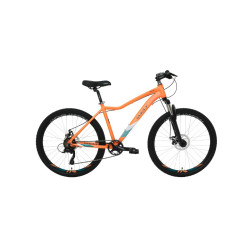 Велосипед женский Welt Floxy 1.0 D 26 (2024)