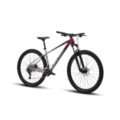 Polygon Xtrada 5 29″ (2024)