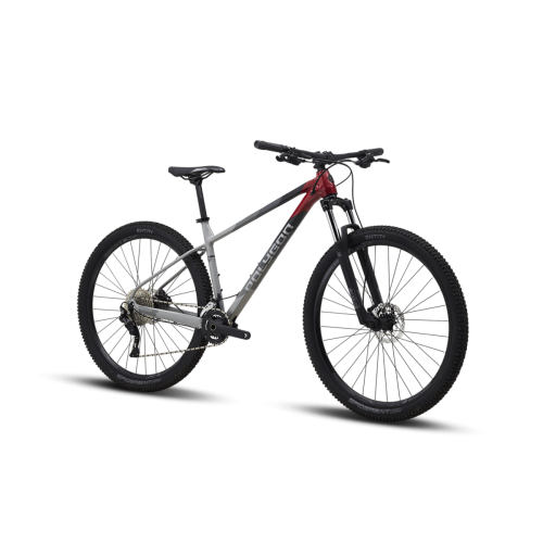 Polygon Xtrada 5 29″ (2024)